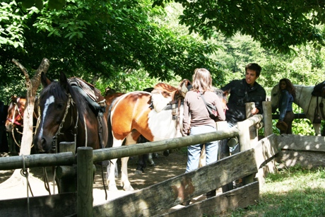 vacations on horseback - imprssions from the riding center in the andes